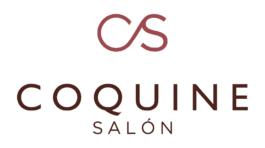 logo cs