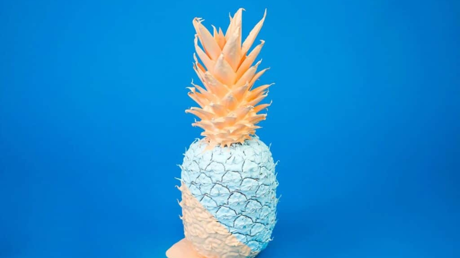 davisuko-rhUU1pemhQ0-unsplash-1024x682